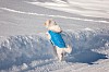 Hopp, rein in den kalten Schnee! Malteser mit blauem Mäntelchen im Schnee - © CC0 - Pixabay - Pezibear