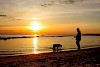 Fast schon kitschig Abendspaziergang mit Hund am Strand in Italien - © CC0 - Pixabay - loveombra