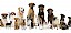 Diverse Rassehunde in der Gruppe - © stock.adobe.com / DoraZett / #99659113