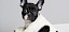 Französische Bulldogge mit süßem Blick Französische Bulldogge in einem Korb - © eszterheltai / stock.adobe.com / #157506614