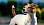 Jack Russell Terrier - © Alex Tihonov / stock.adobe.com / #73733937