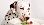 Dalmatiner skeptisch vor Teller mit Hundefutter - © stock.adobe.com / Sabimm / 13923226