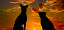Zwei Hunde vor Sonnenuntergang - © cocoparisienne - pixabay