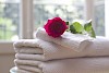 Wellness mit Hund Rose auf einem Stape Handtücher - © CC0 - Pixabay - TesaPhotography