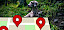 Hund im Wald, Maps im Vordergrund - © Pixabay - CC0 - 12019 / Tumisu / hunderassen.coach